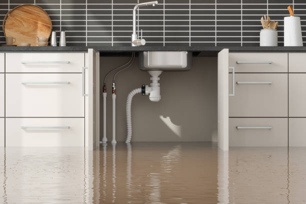 Best Residential water damage restoration  in El Centro, CA
