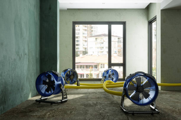 Best Water damage cleanup near me  in El Centro, CA