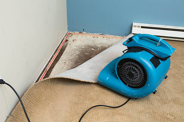 Best Flood damage cleanup  in El Centro, CA